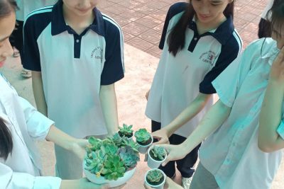 TỔ CHỨC NGÀY HỘI “ĐỔI GIẤY LẤY CÂY – LAN TỎA SỨC SỐNG XANH”